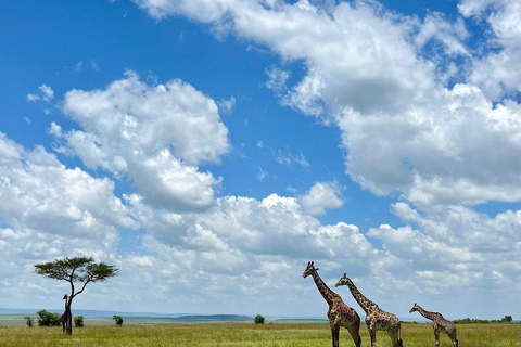 Nairobi: 3-Day epic trip to Maasai Mara Reserve with meals 3 days, 2 nights private safari to Mara in a tourist VAN