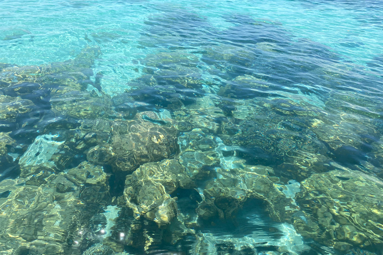 Mnemba: Afrikanska Maldiverna dagstur med lunchNungwi: Afrikanska Maldiverna dagstur med lunch