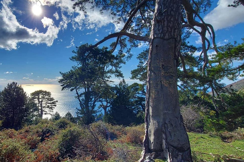 جنوب ألبانيا: جولة مغامرات شاملة لمدة 8 أيام مع مرشد محلي