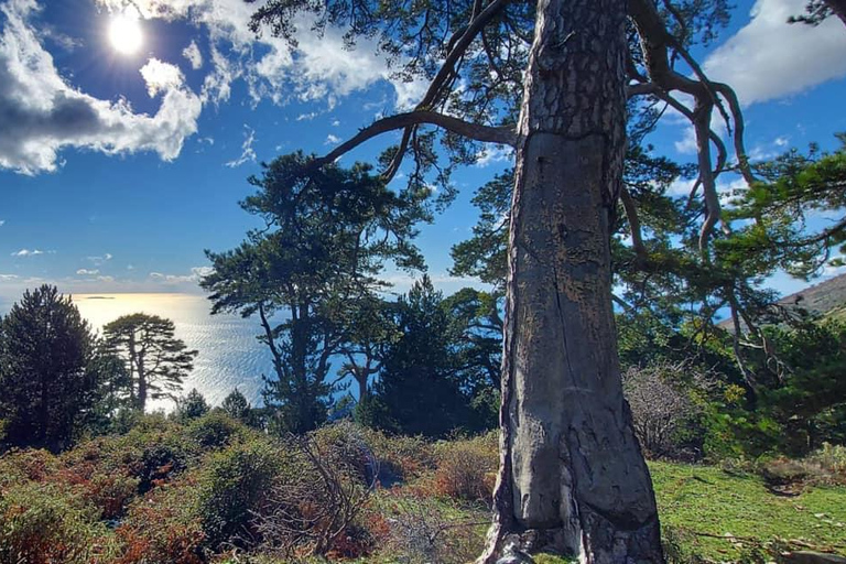 جنوب ألبانيا: جولة مغامرات شاملة لمدة 8 أيام مع مرشد محلي