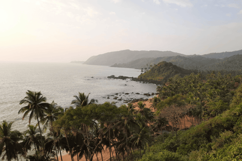 From Baga/Calangute: Full-Day South Goa Sightseeing Tour
