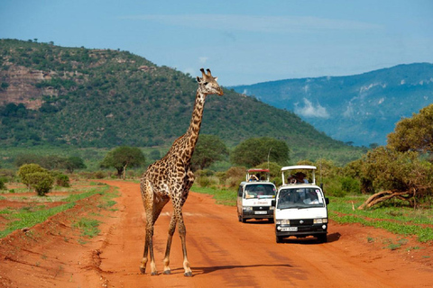 Au départ de Mombasa : Safari d&#039;une journée dans le parc national de Tsavo East