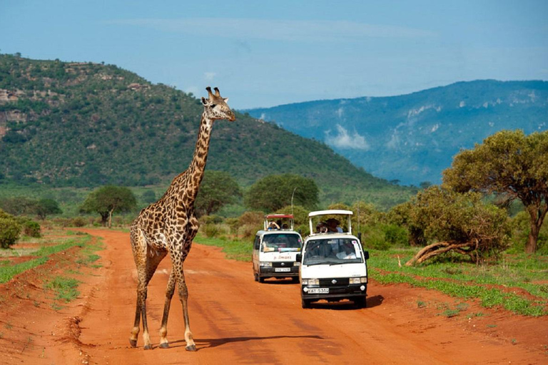 Au départ de Mombasa : Safari d&#039;une journée dans le parc national de Tsavo East