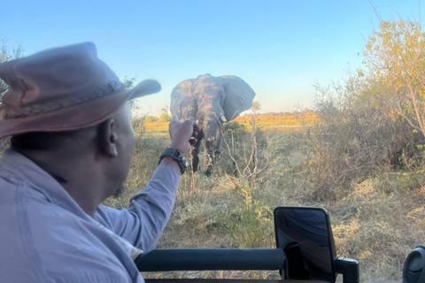 Moremi Game Reserve Mobile Safari