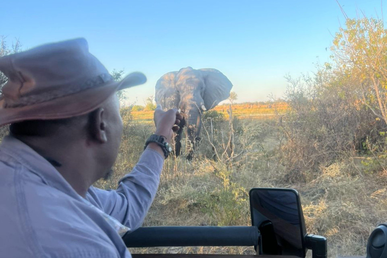 Moremi Game Reserve Mobile Safari