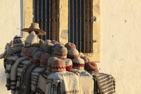 Depuis Marrakech : excursion d'une journée à Essaouira