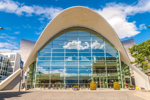 Tromsø: Dagtocht langs de fjorden, bergen en hoogtepunten van de stad