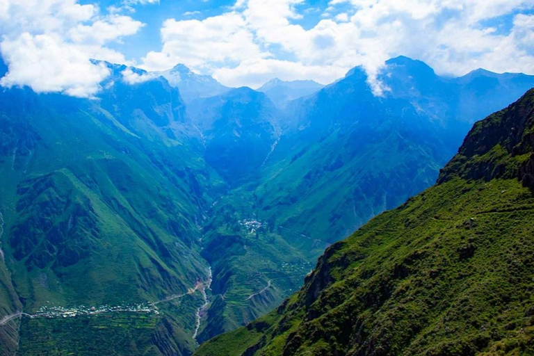 Da Arequipa: escursione di un giorno nel Canyon del Colca con pasti a buffet