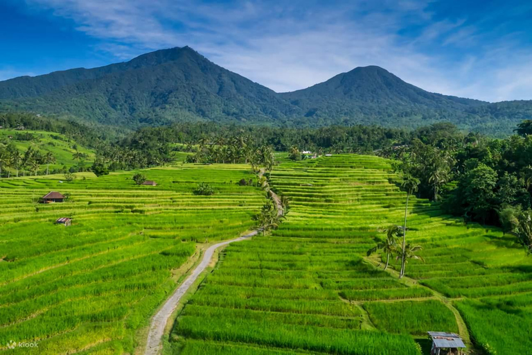 North of Bali: Private Tour with UNESCO World Heritage site Private Tour : Ticket Excluded