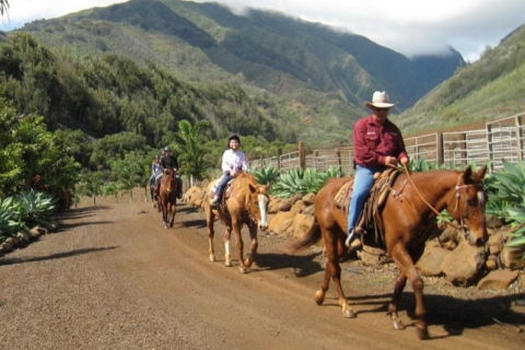 Medellin : Visite guidée à cheval dans la nature