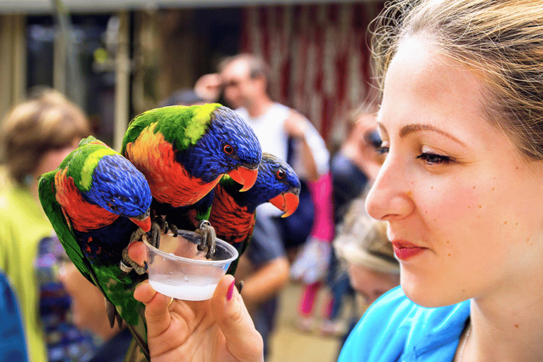 From Pointe-à-Pitre: Death in Paradise & Botanical Garden