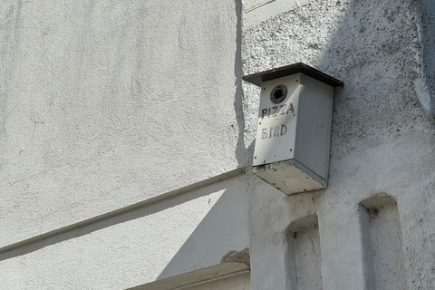 Da Helsinki: Rovine del castello di Raasepori e centro storico di Ekenäs