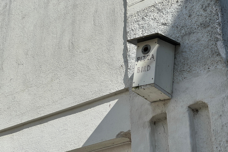 Da Helsinki: Rovine del castello di Raasepori e centro storico di Ekenäs