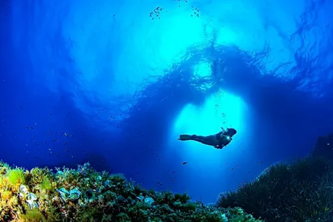 Puerto de Soller : Formation et expérience de plongée sous-marine guidée