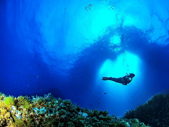 Puerto de Soller: Tren y Experiencia Guiada de Buceo