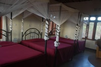 Visita de 2 días Dataga y Hadza - Cultural Tour + Walking - Housity