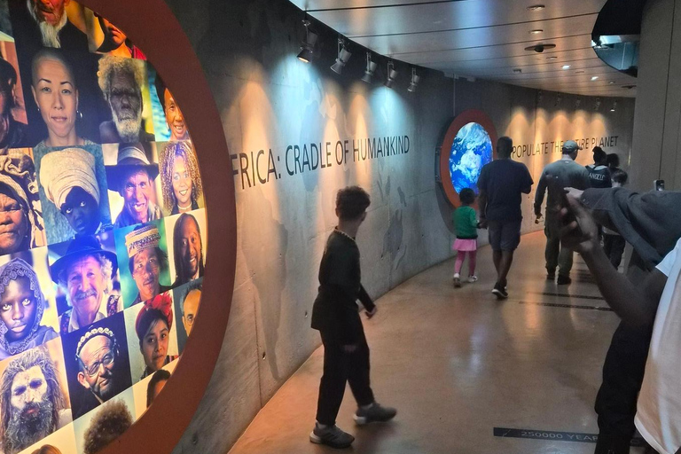 Johannesburg: Cradle Of Humankind & Fossil Discovery Tour
