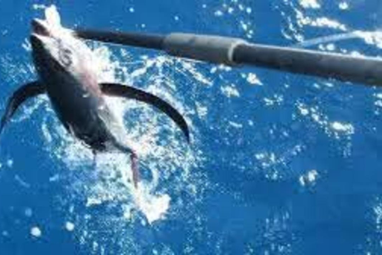 Zanzibar Big Game Fishing Adventure with Private Boat From Nungwi/Kendwa Tour with Meeting point + Entry ticket