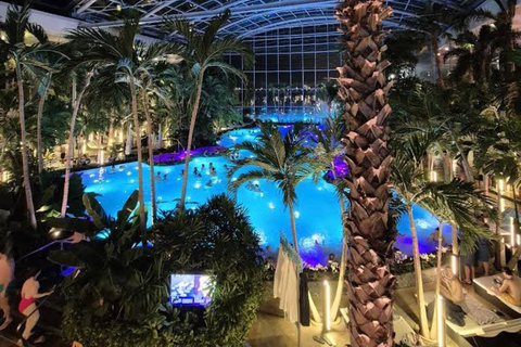 Bucharest: Therme Entry Ticket and Transfer