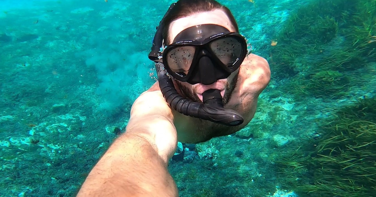 Crystal River Clear Bottom Kayak or Paddleboard Eco Tour GetYourGuide