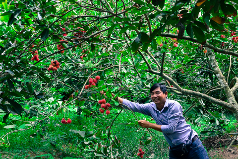 From HCMC: Mekong Delta Private Tour with Cooking ClassPrivate Tour