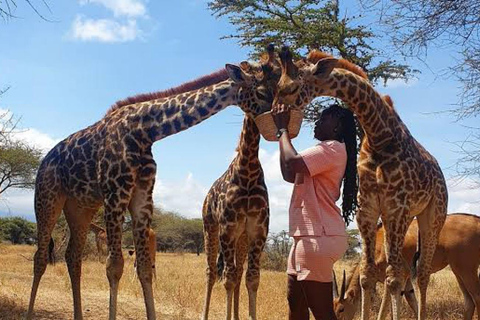 Arusha: Viagem de 1 dia com animais selvagens Serval com safari e almoço