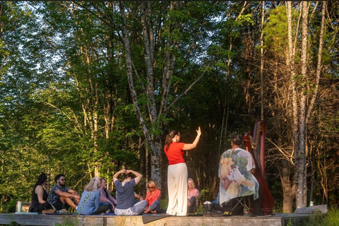 Hollis: New Moon Yoga Nidra, Reiki & Harp Sound Bath
