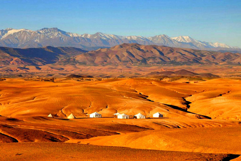 From Marrakech : Agafay Desert Sunset Dinner with Camel Ride