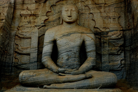 From Sigiriya: Lion Rock & Polonnaruwa Cultural Day Tour