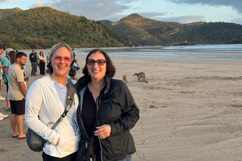 Airlie Beach: Eco Sunrise Kangaroos & Drovers Breakfast Tour