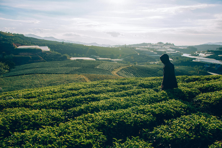 Kerala 3 N 4 D Tour – Munnar & Alleppey Houseboat Package