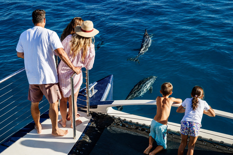 Mauritius: Dolphins, Crystal Rock & Catamaran BBQ Cruise