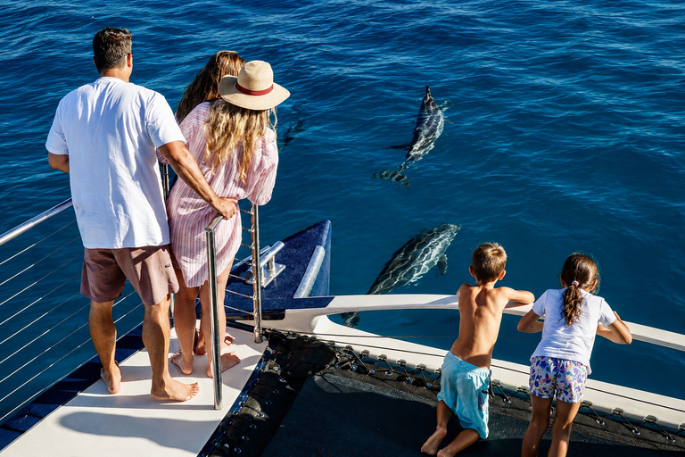 Mauritius: Dolphins, Crystal Rock & Catamaran BBQ Cruise