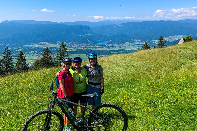 Bled: E-bike tocht langs het meer van Bled & Triglav Nationaal Park Picknick