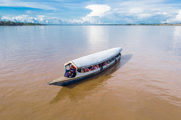 Iquitos: La Isla de los Monos con almuerzo y recogida en el hotelIquitos: Excursión a la Isla de los Monos con almuerzo y recogida en el hotel