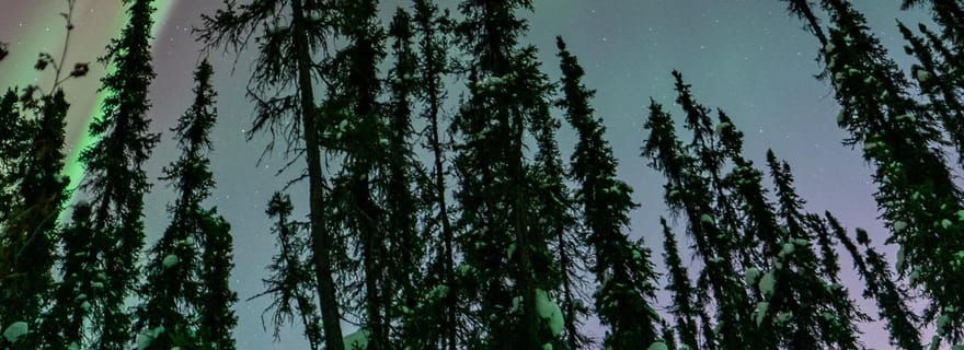 Fairbanks : Excursion aux aurores boréales