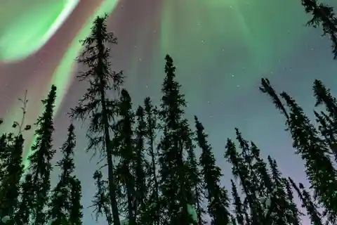 Fairbanks: Aurora Borealis Northern Lights Tour
