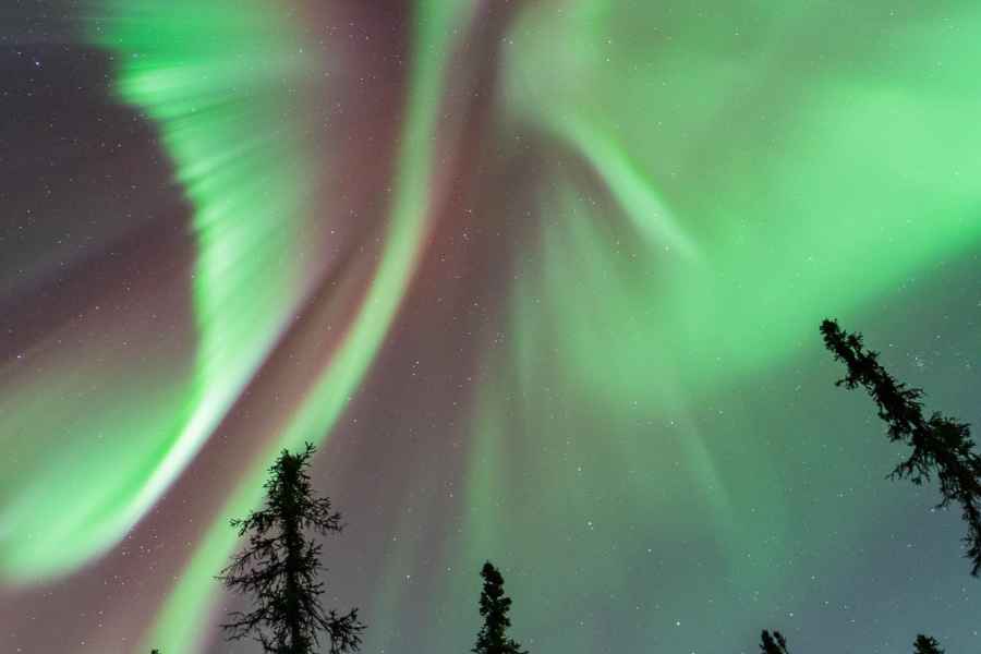 Fairbanks: Aurora Borealis Nordlichter Tour. Foto: GetYourGuide