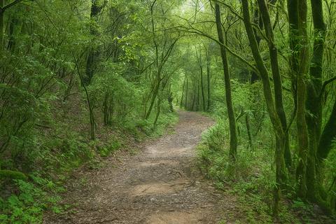 Kathmandu: Tarebhir, Nagi Gompa, & Budhanilkantha Day Hike