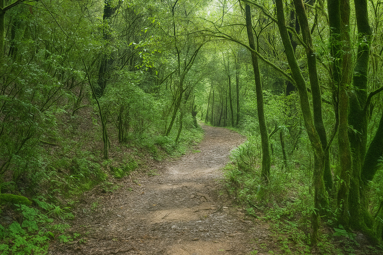 Kathmandu: Tarebhir, Nagi Gompa, & Budhanilkantha Day Hike