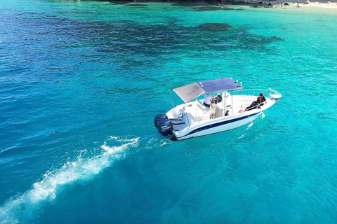 Zakynthos: Passeio guiado de barco à Ilha das Tartarugas com nataçãoZakynthos: excursão guiada de barco à Ilha da Tartaruga com natação