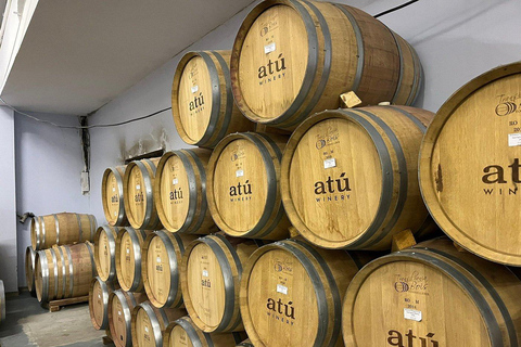 Chișinău: ATU Urban Winery Tour & Wine Painting Workshop