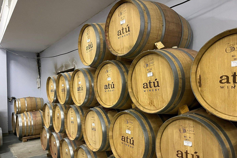 Chișinău: ATU Urban Winery Tour & Wine Painting Workshop