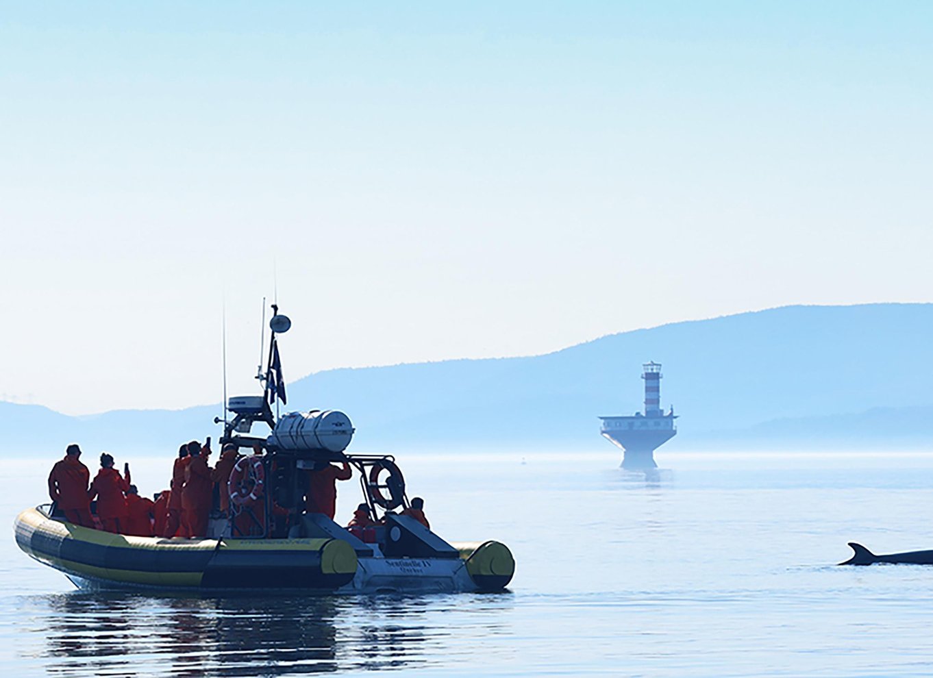 Tadoussac/Charlevoix: Zodiac-tur med hvalsafari