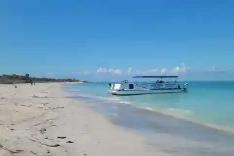 De Treasure Island: Cruzeiro de observação de golfinhos e marisco