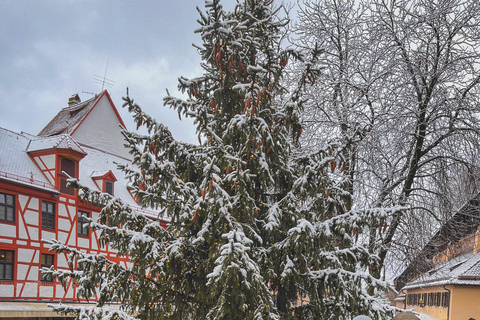 纽伦堡老城区导览：中世纪与纳粹审判纽伦堡老城区游览：中世纪时代与纳粹审判