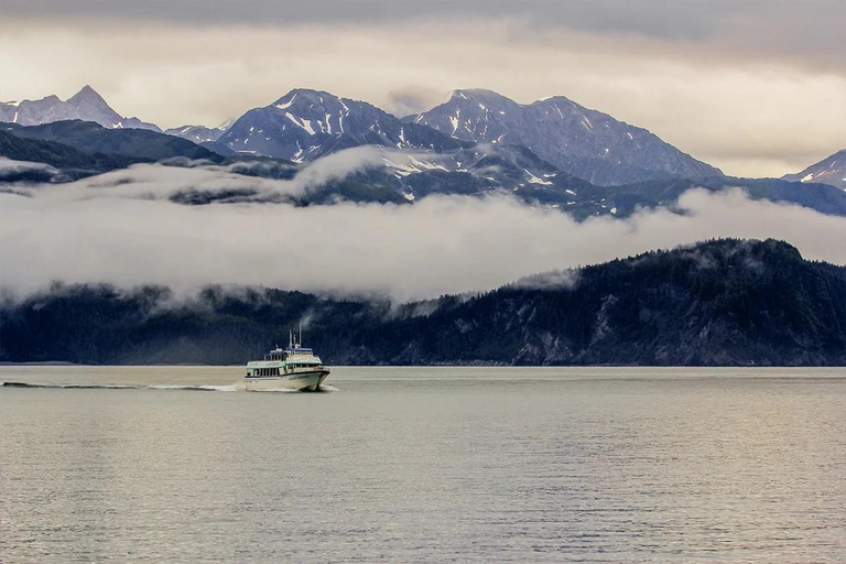 Seward: Captain's Choice Kenai Fjords National Park Tour