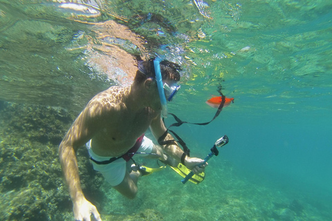 Marseille : Aventure de plongée en apnée à Endoume avec collations et boissonsMarseille : Aventure de snorkeling à Endoume avec snacks et boissons