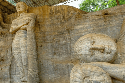 Dambulla: Sigiriya, Polonnaruwa, and Cave Temple Day Trip
