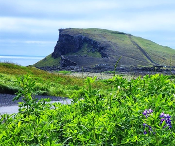 Reykjanes Peninsula: Geothermal, Tectonics & Coastal Wonders